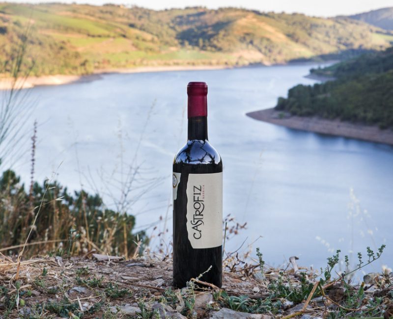 viñedo