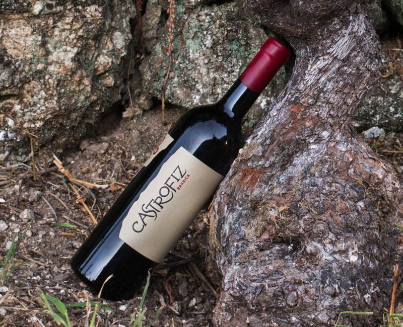 vinhos